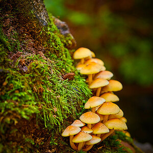GH8_3095_sm.jpg