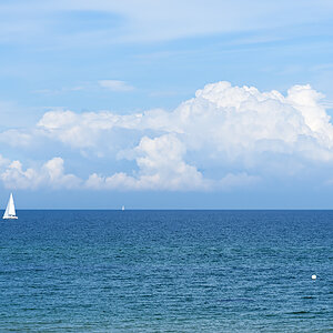 OF2_58358.jpg