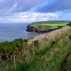 C2C_DSC_0726.jpg