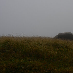 C2C_DSC_0889.jpg
