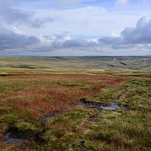 C2C_DSC_0982.jpg