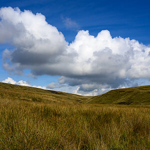 C2C_DSC_0989.jpg