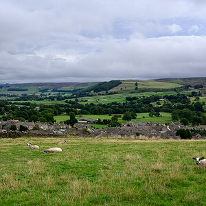 C2C_DSC_1066.jpg