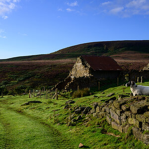 C2C_DSC_1194.jpg
