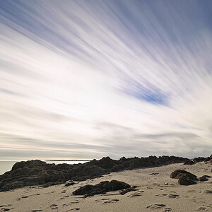 ZSD_0493_1_nff.JPG