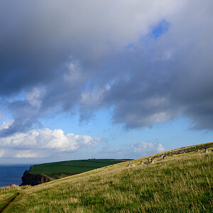 C2C_DSC_0723.jpg