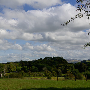 C2C_DSC_0763.jpg