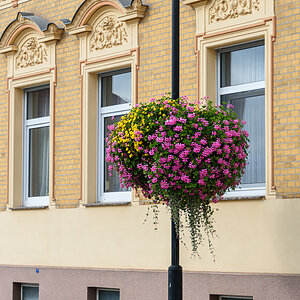 OF2_60050.jpg