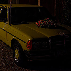 DSC_7894_DxOn.jpg