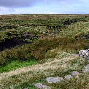 C2C_DSC_0979.jpg