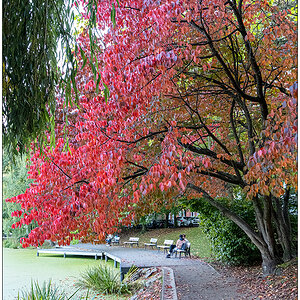437 Herbstliche Stimmung im Schrevenpark IV