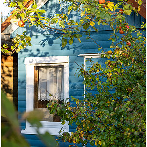 440 Schrebergartenidylle