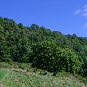 C2C_DSC_1083.jpg