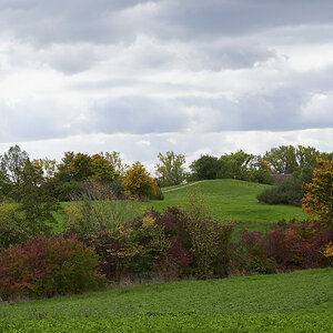 DSC_0363_01.JPG
