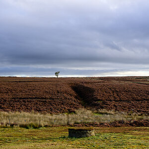 C2C_DSC_1187.jpg