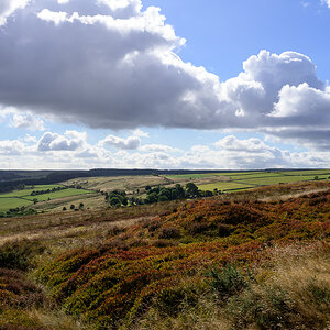 C2C_DSC_1342.jpg