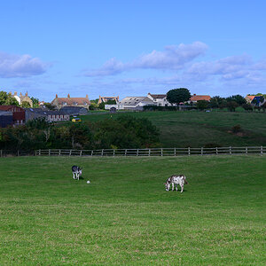 C2C_DSC_1361.jpg