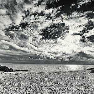 ZSD_0500_1_sw_nff.JPG