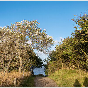 460 Sylt – Spaziergang ans Watt in Keitum