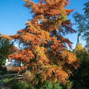 Herbst in Wieren 2.jpg
