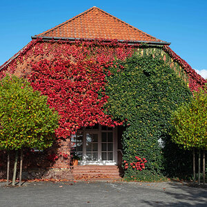 Herbstfassade 1.jpg