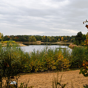 DSC_5911.jpg