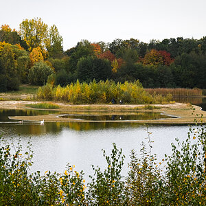 DSC_5913.jpg
