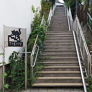 OF2_60036.jpg