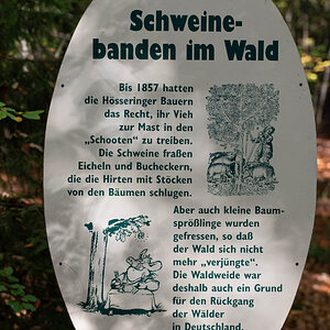 Schweinebanden.jpg