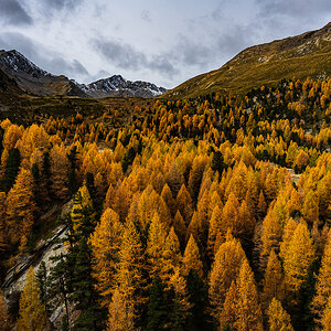 Südtirol Oktober-2789.jpg