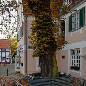 DZ7_0279.jpg