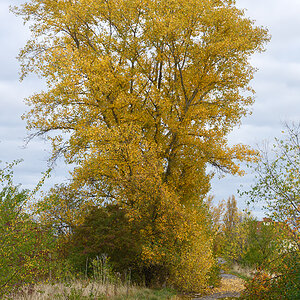 OF2_60341.jpg