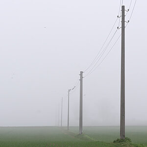 OF2_60440.jpg