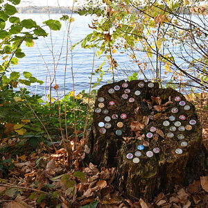 DSC_5409.JPG