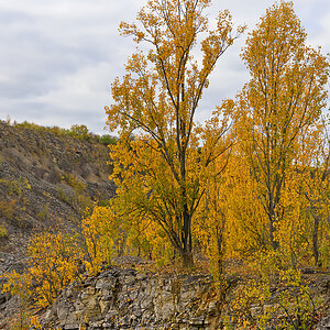 OF2_60330.jpg