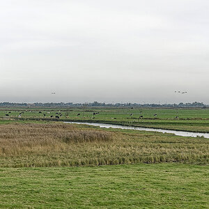 _1230065_DXOxl.jpg