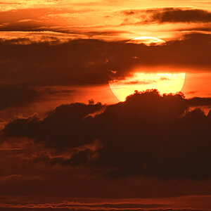 OF5_24809.jpg