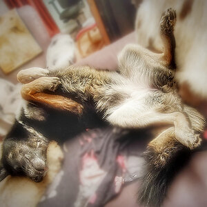 OLD 2022-221_HDR.jpg