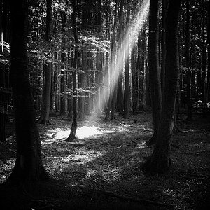 Lichtstrahl