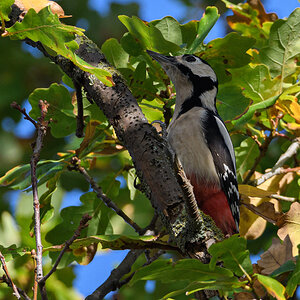 OF5_26005.jpg