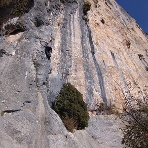 DSC_3568-1.jpg