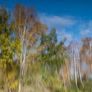 Herbstliches Aquarell.jpg