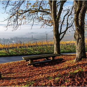 comp_D85_3346.jpg