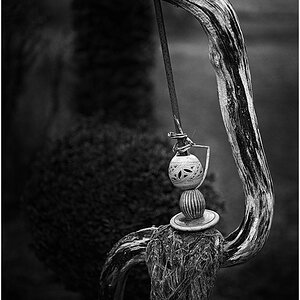 comp_DSC_0041_01 Kopie.jpg