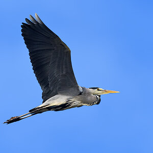 OF5_25906.jpg