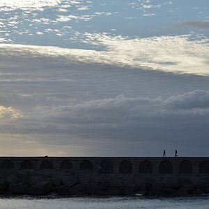 comp_DSC_6135.jpg