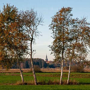 Seewiesen 1051.jpg