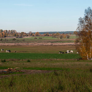 Seewiesen 1103.jpg