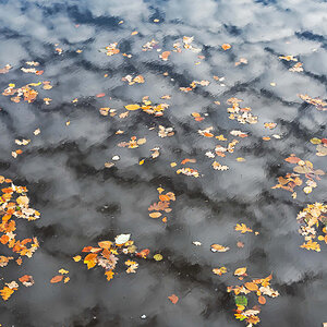 Wolkenblätter.jpg