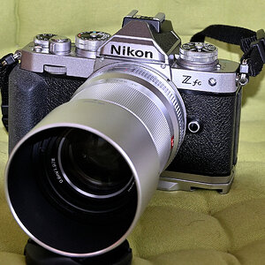 Z50_9885.JPG